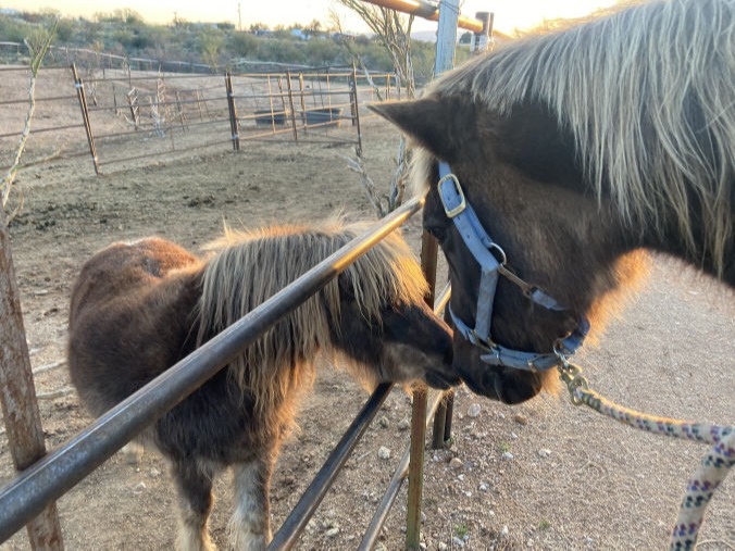 Mobirise